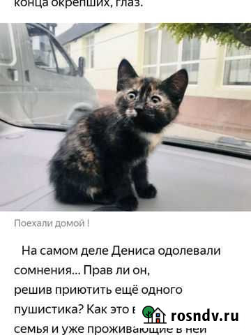 Обычная Сулак - изображение 1