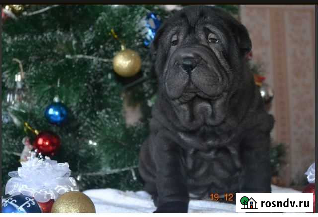 Чудо детки Нижний Новгород - изображение 1