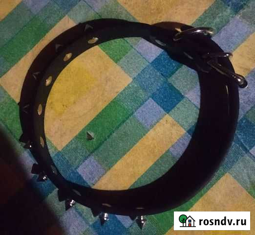 Собачий ошейник Ревда - изображение 1