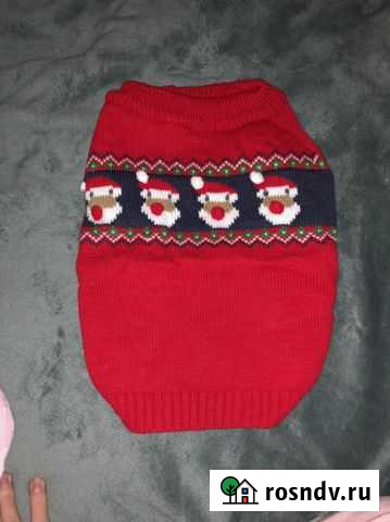 Одежда для собак Химки - изображение 1