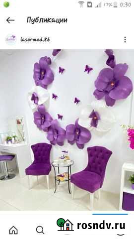 Декоративные цветы Нижневартовск - изображение 1