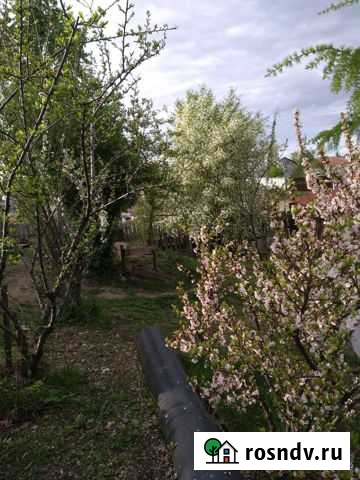 Саженцы садовые Благовещенск - изображение 1