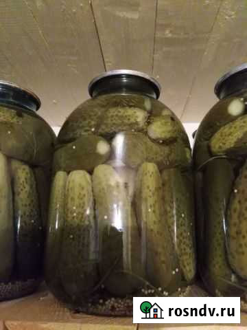 Огурцы маринованные Шуя - изображение 1