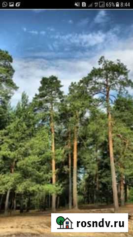 Выписки под ижс Кострома - изображение 1