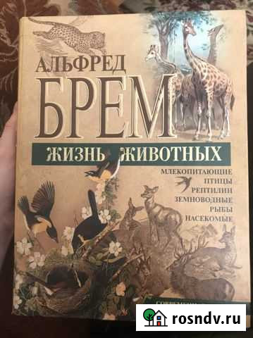 Книга Альфред Брем Жизнь животных Саянск - изображение 1