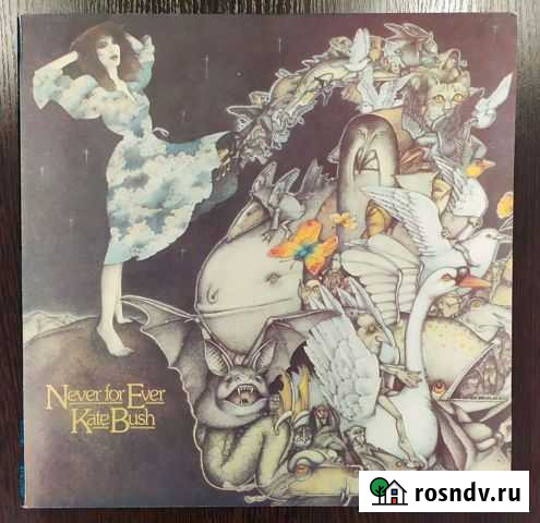 Грампластинки Саранск - изображение 1