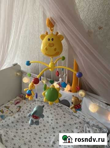 Мобиль Петропавловск-Камчатский - изображение 1