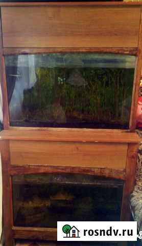 Тумба двухъярусная с аквариумами Клинцы - изображение 1