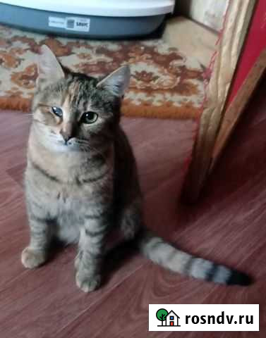 Чудеса в Рождество случаются Симферополь - изображение 1