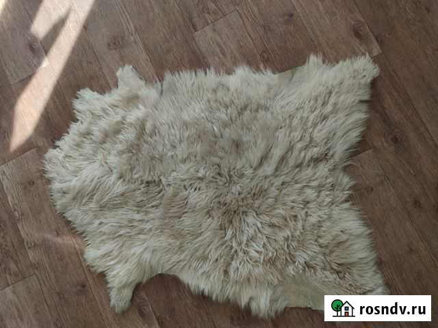 Шкура козленка Новороссийск - изображение 1