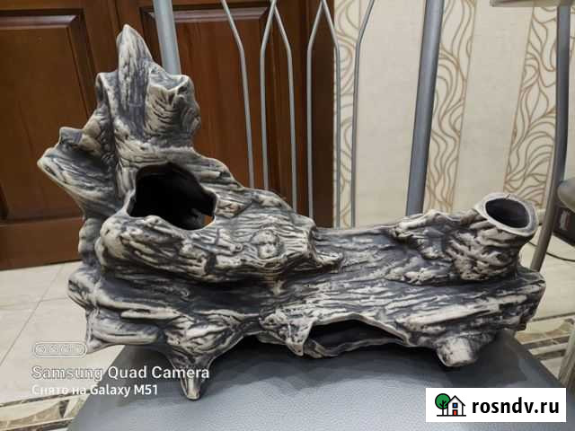 Грот коряга Белгород - изображение 1