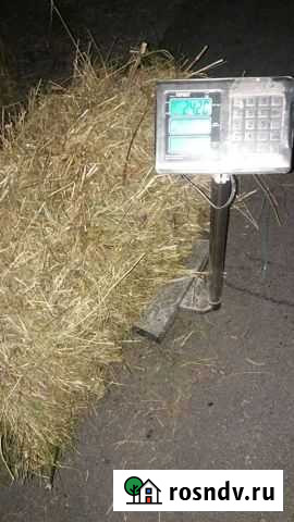 Сено брикет Прокопьевск - изображение 1