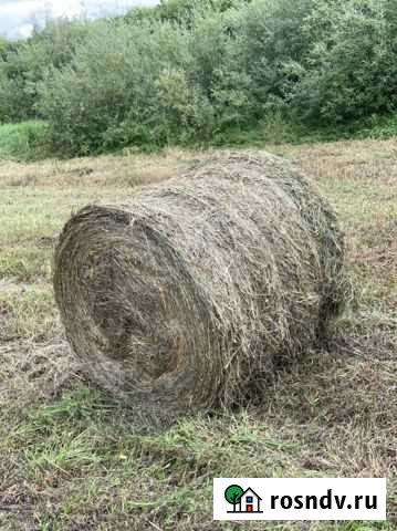 Сено Топчиха - изображение 1