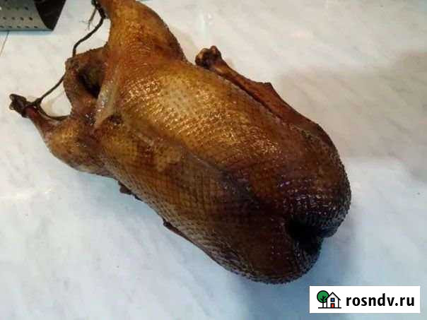 Вяленые, копченые:утки, гуси, курдюк, деликатесы Ульяновск - изображение 1