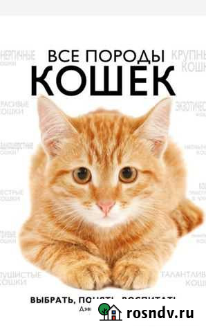 Книги подарочного формата 2 шт Артемовский - изображение 1