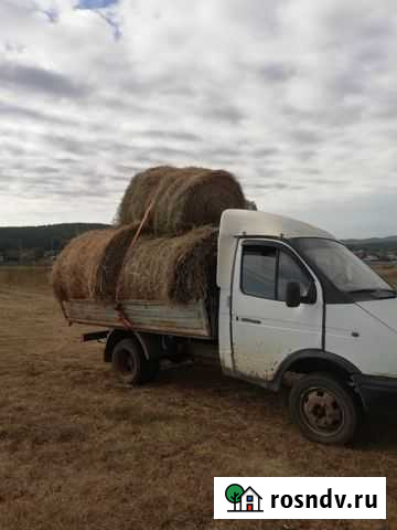 Сено в рулонах с доставкой Кропачево - изображение 1