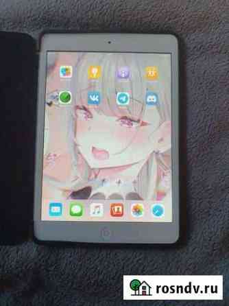 iPad mini Сольцы