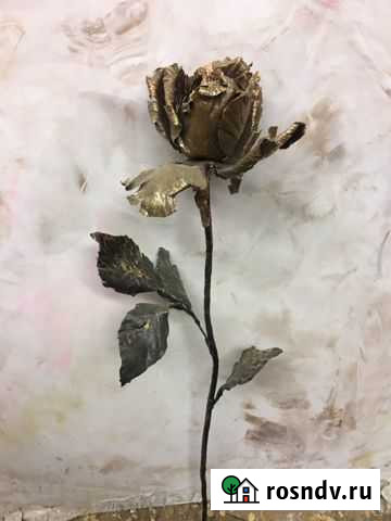 Роза Иваново - изображение 1