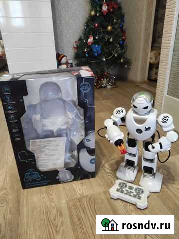 Робот Оренбург - изображение 1