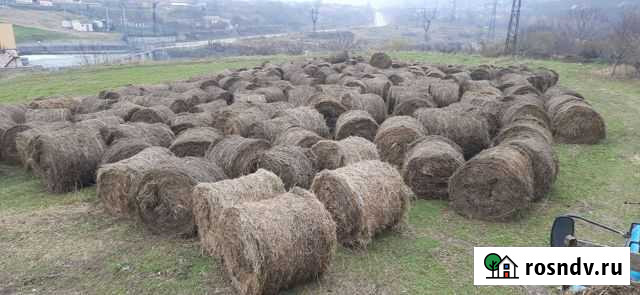 Продам сено в рулонах Заюково - изображение 1