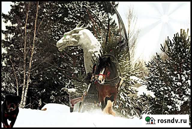 Инструктор по верховой езде Советский - изображение 1