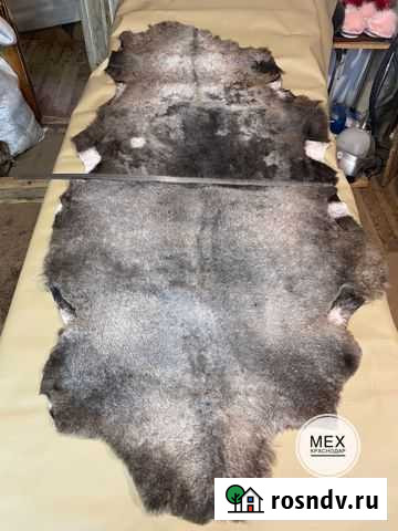 Ковёр палас Пермь - изображение 1