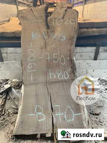 Слэб карагача / слэбы из дерева Пушкино - изображение 1