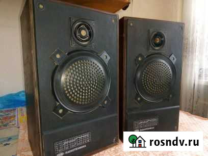 Колонки 6 ас-221 (S-20А) Варламово - изображение 1