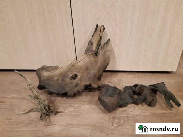 Коряги Обнинск - изображение 1