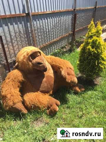 Кинг конг игрушка Крымск - изображение 1