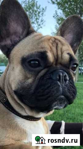 Вязка Новороссийск - изображение 1