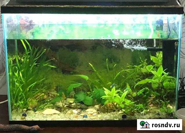 Аквариум б/у 60 литров Балашиха - изображение 1