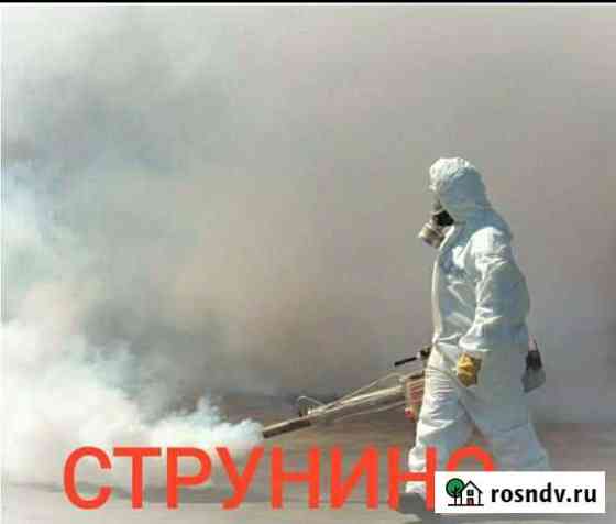 Уничтожение клопов, тараканов, блох, плесени, ос Струнино