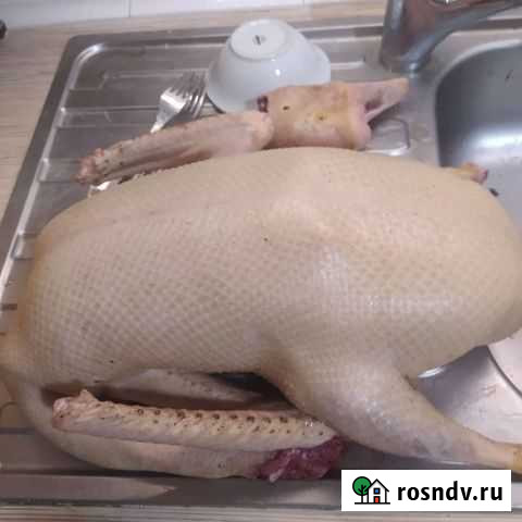 Гуси, утки к новому году и на племя Мурмино - изображение 1