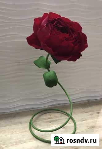 Ростовые цветы Дзержинск - изображение 1