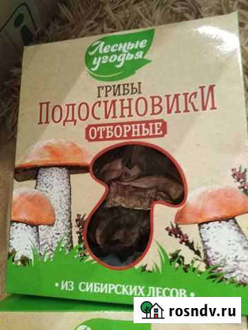 Грибы подосиновики отборные Ульяновск - изображение 1