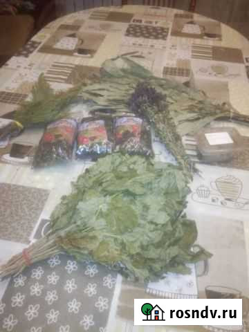 Лекарственные растения Черногорск - изображение 1