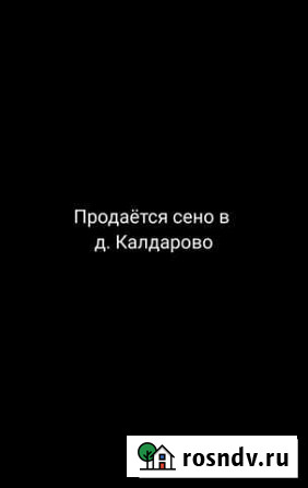 Продаётся сено Юмагузино - изображение 1