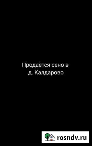 Продаётся сено Юмагузино - изображение 1