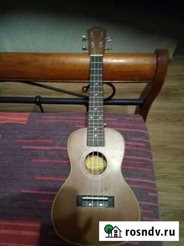 Укулеле flight концерт Черняховск - изображение 1