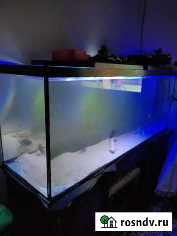 Аквариум Хасавюрт - изображение 1