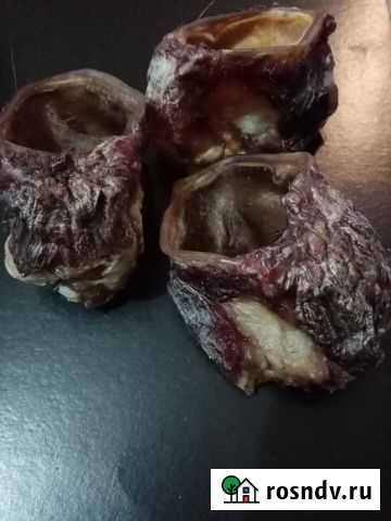 Основание уха Говяжье Великий Новгород - изображение 1