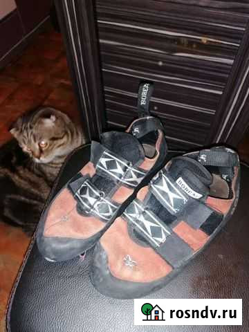Скальные туфли 37-38 Сочи - изображение 1