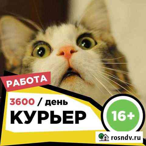 Курьер для студентов Владивосток