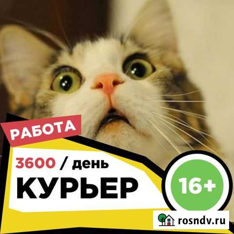 Курьер для студентов Владивосток - изображение 1