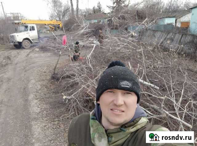 Спил деревьев, кустарников Ливны - изображение 1