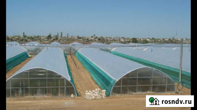 Инвестиции в тепличный комплекс Балашиха - изображение 1