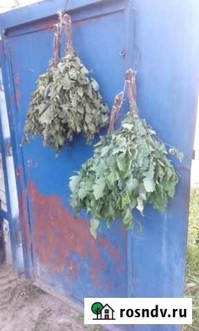 Веники для бани Клинцы - изображение 1