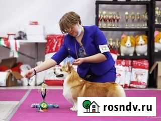 Открыт для вязок Малоярославец - изображение 1