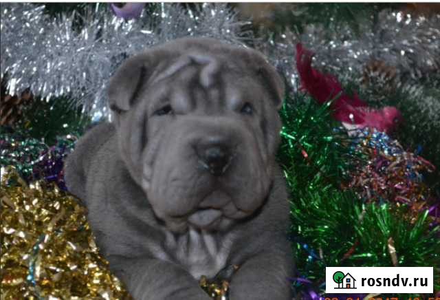 Подарочек Нижний Новгород - изображение 1